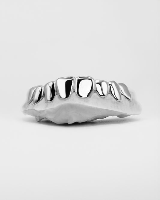 Grillz full silver bot ( 8 dents )
